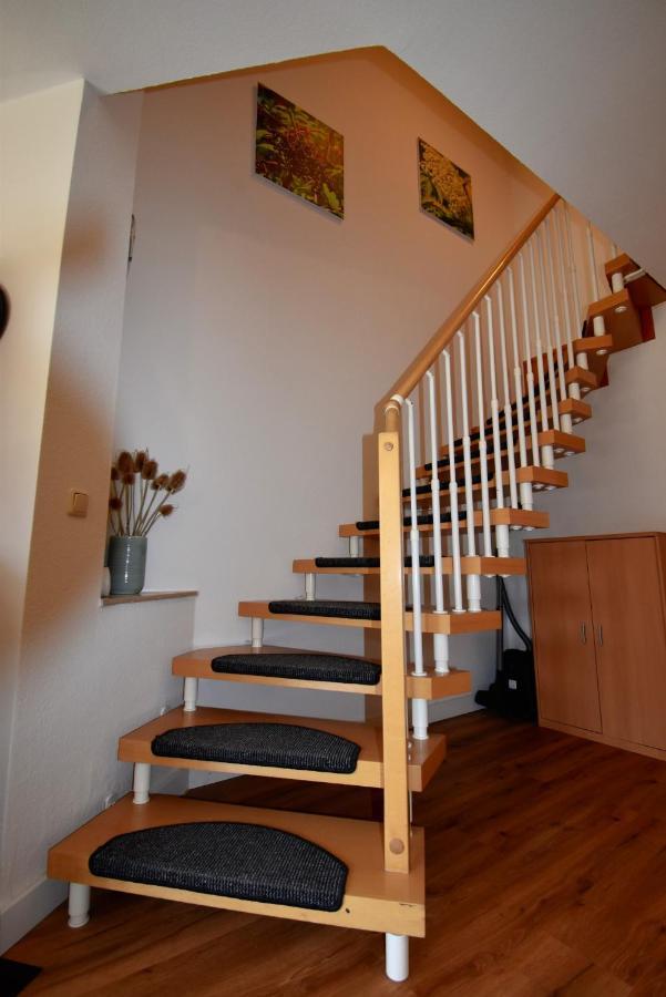 Reetdachhaus Holunder 2 Villa Puddemin Ngoại thất bức ảnh